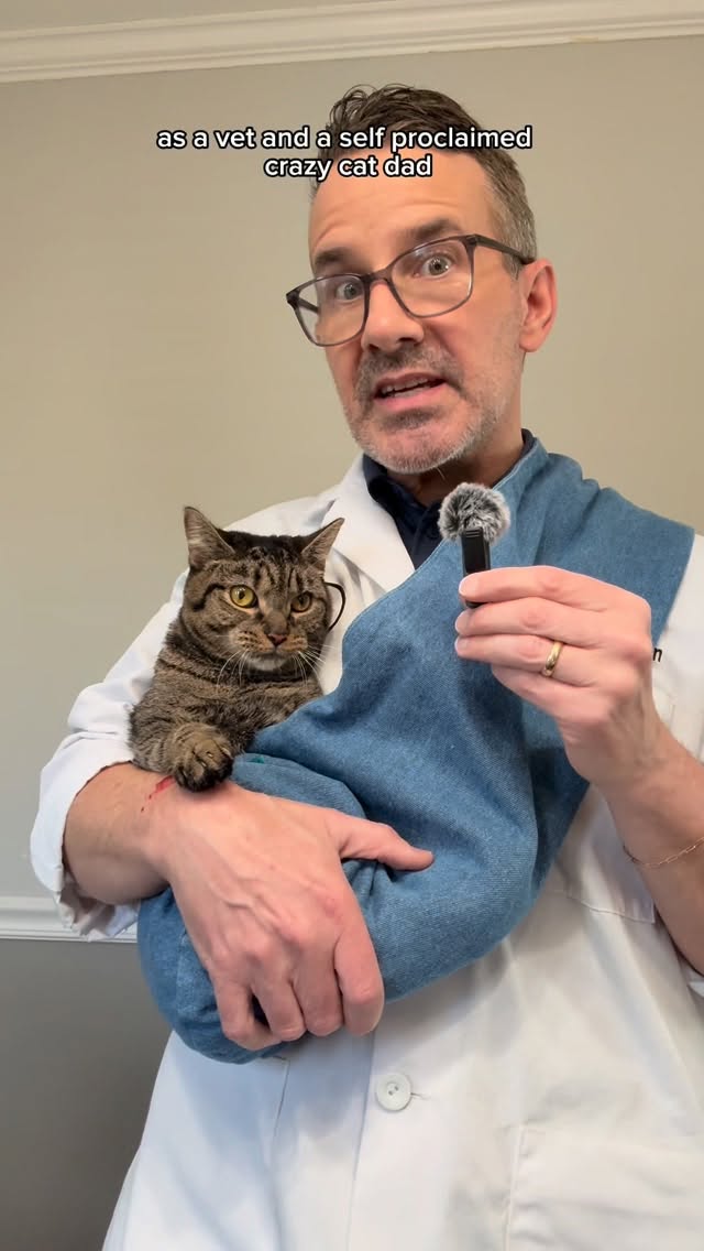 Talking Head Product