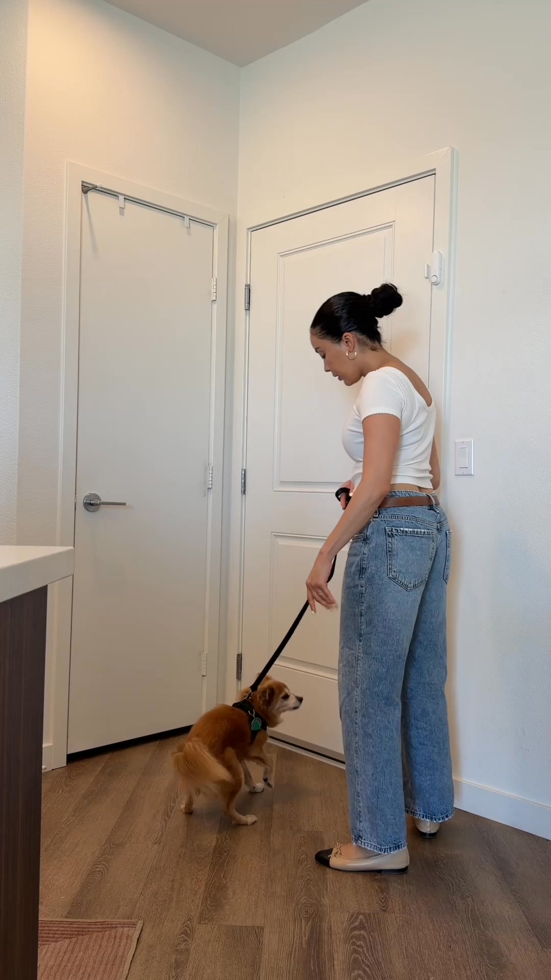 Talking Head Product