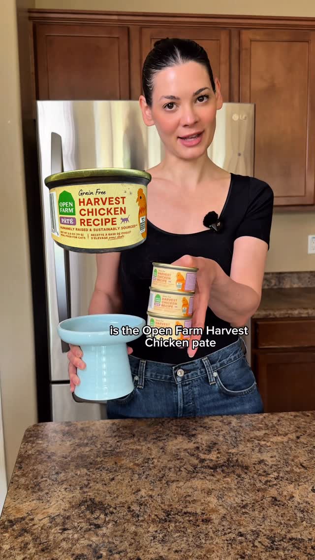 Talking Head Product